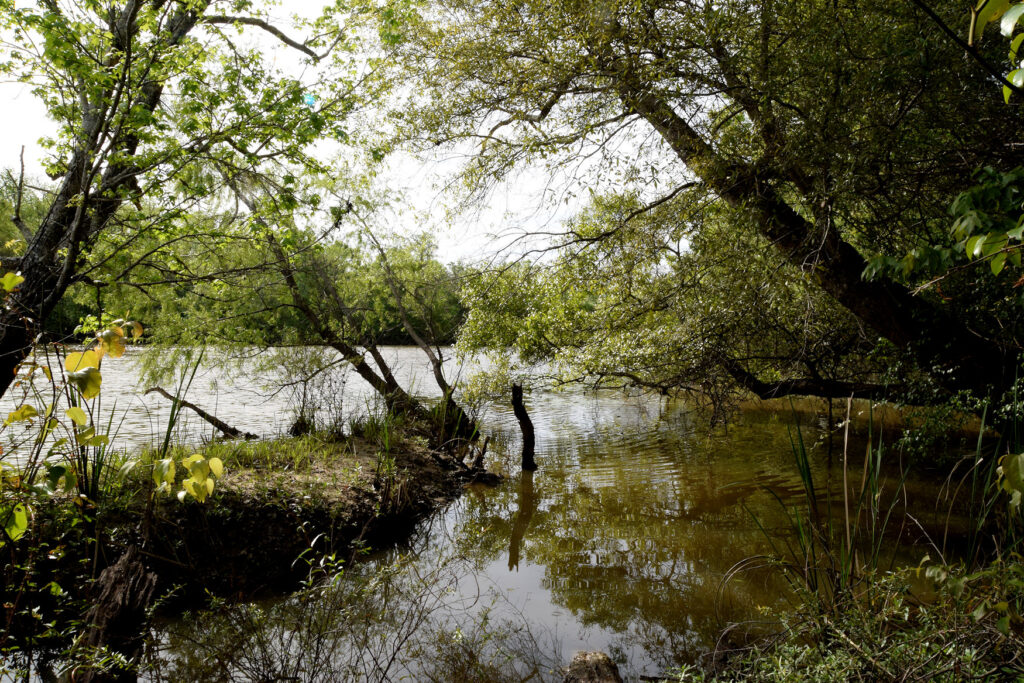 A serene view of the Escambia River, with lush green trees along the banks reflecting in the water.