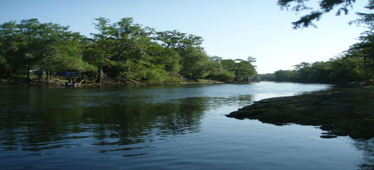 A serene view of a river surrounded by lush greenery and trees, capturing the natural landscape near Bluff Springs, Florida.
