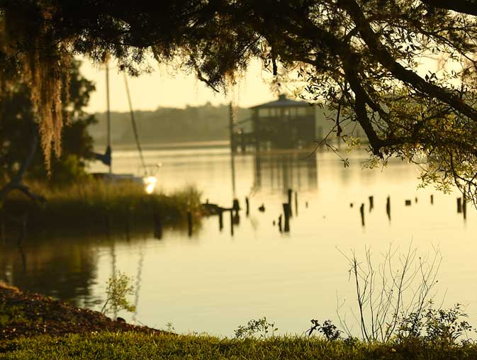 A serene view of a calm lake at sunrise, featuring a silhouette of a dock and a distant structure. Tall grasses and tree branches frame the scene, creating a tranquil atmosphere.