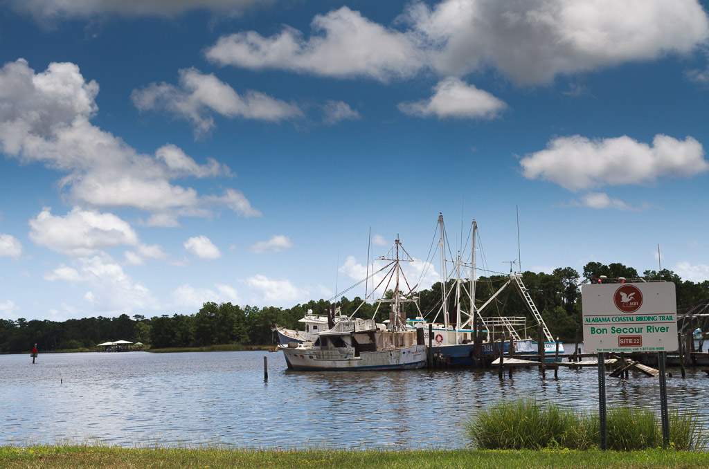 A serene view of the Bon Secour River featuring several fishing boats docked at the shore, with a green sign indicating the Alabama Coastal Birding Trail nearby, under a partly cloudy sky.