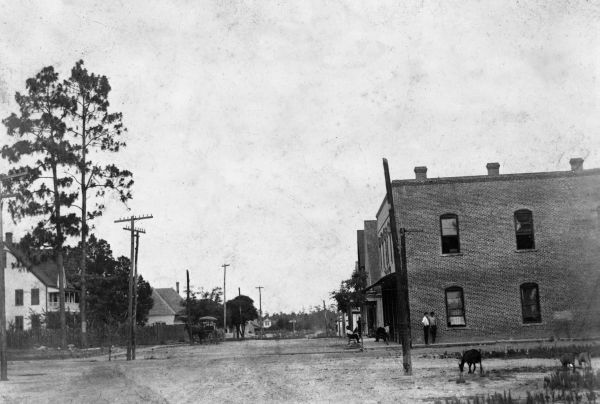 Black and white historical photograph of a street intersection featuring a brick building, utility poles, and distant houses, with a few people and dogs visible.