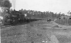 Black and white photo of a steam train at a station with a tree line in the background and two people standing nearby.