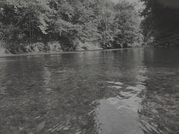 A serene view of a river with clear water, surrounded by lush trees, captured in black and white.