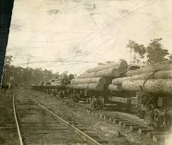 Black and white photo of a train transporting logs on a railway track.
