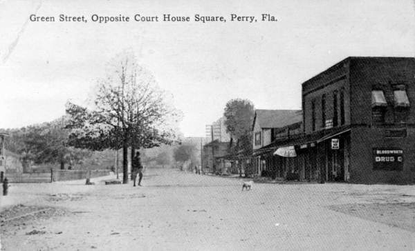 Black and white postcard depicting Green Street in Perry, Florida, showing a quiet street scene with trees, buildings, and a dog.